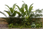 綠色植物3D模型